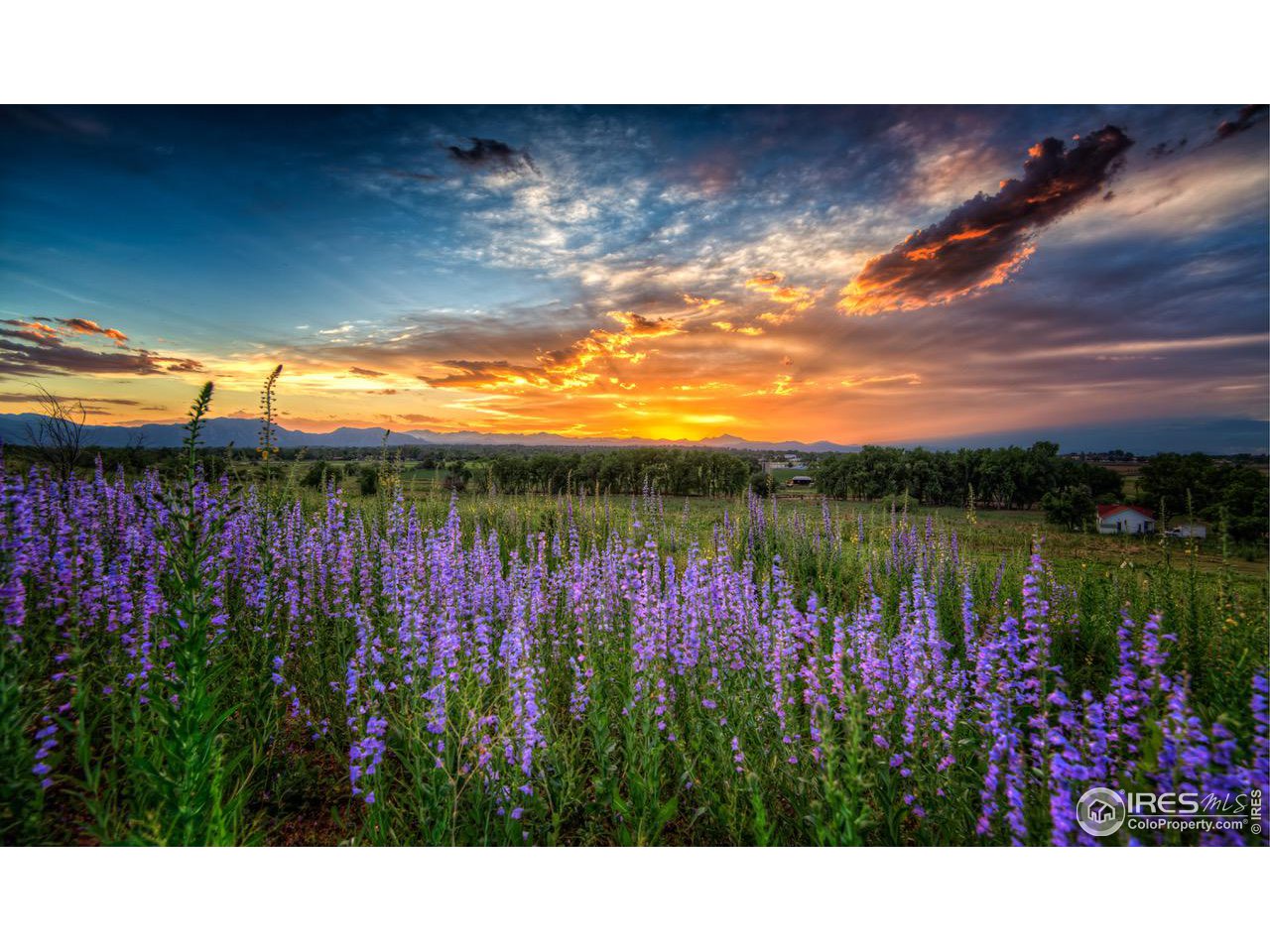 7225 Spring Drive Boulder, CO 80303 - Photo 17 of 26