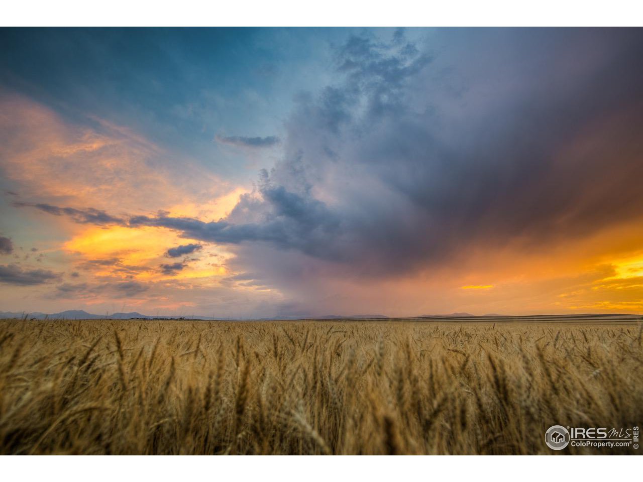 7225 Spring Drive Boulder, CO 80303 - Photo 21 of 26