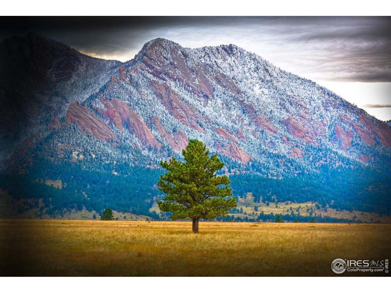 7225 Spring Drive Boulder, CO 80303 - Photo 23 of 26