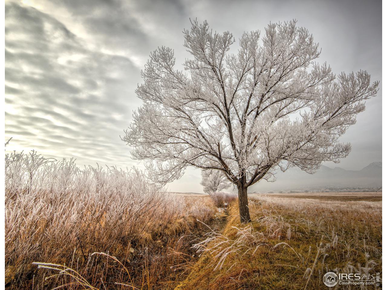 7225 Spring Drive Boulder, CO 80303 - Photo 25 of 26