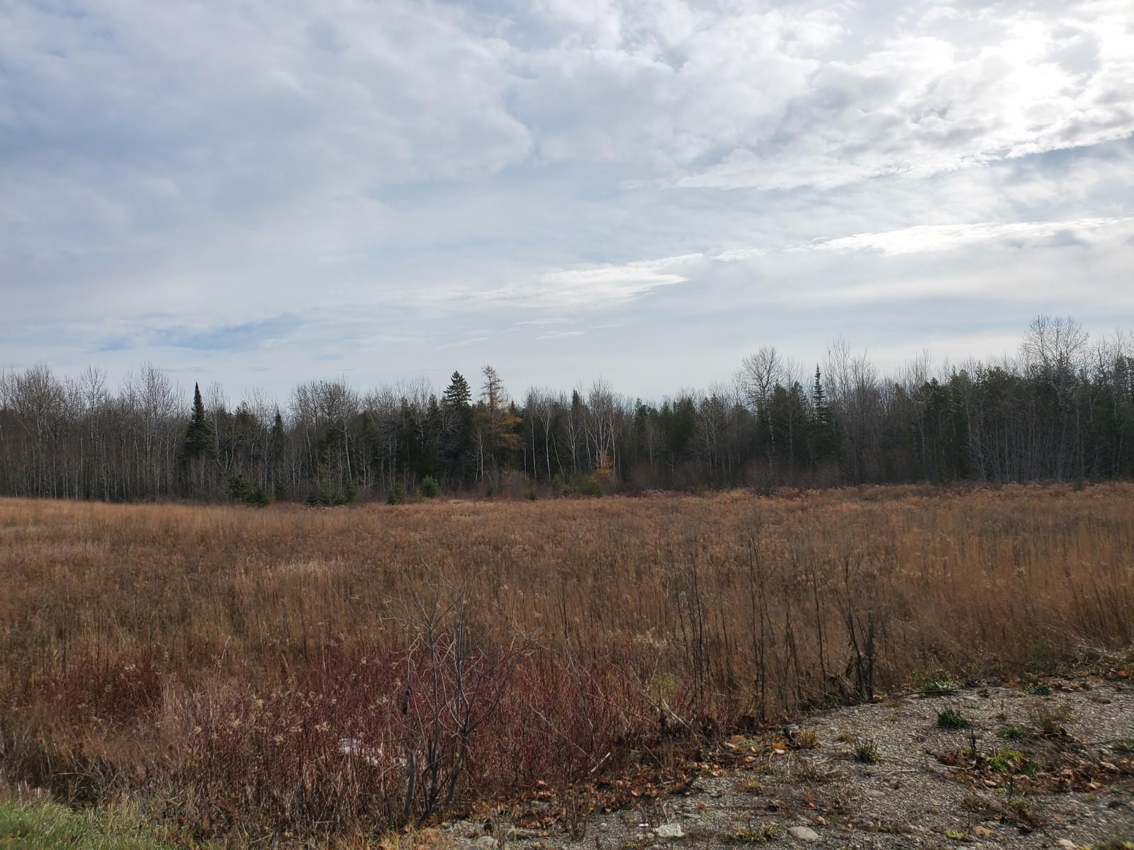 674 Ludlow Road Houlton, ME 04730 - Photo 6 of 6 20201106_112240 (1)