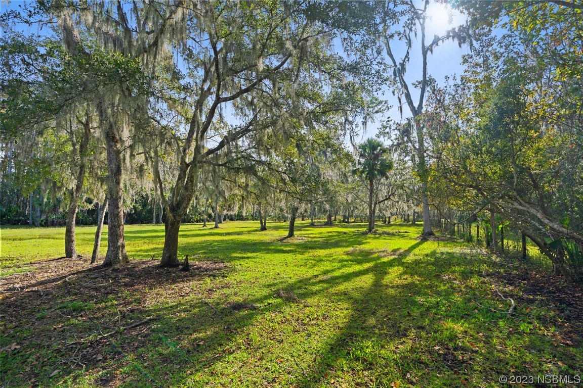 0 Bolton Road New Smyrna Beach, FL 32168 - Photo 11 of 18 a view of a park with large trees