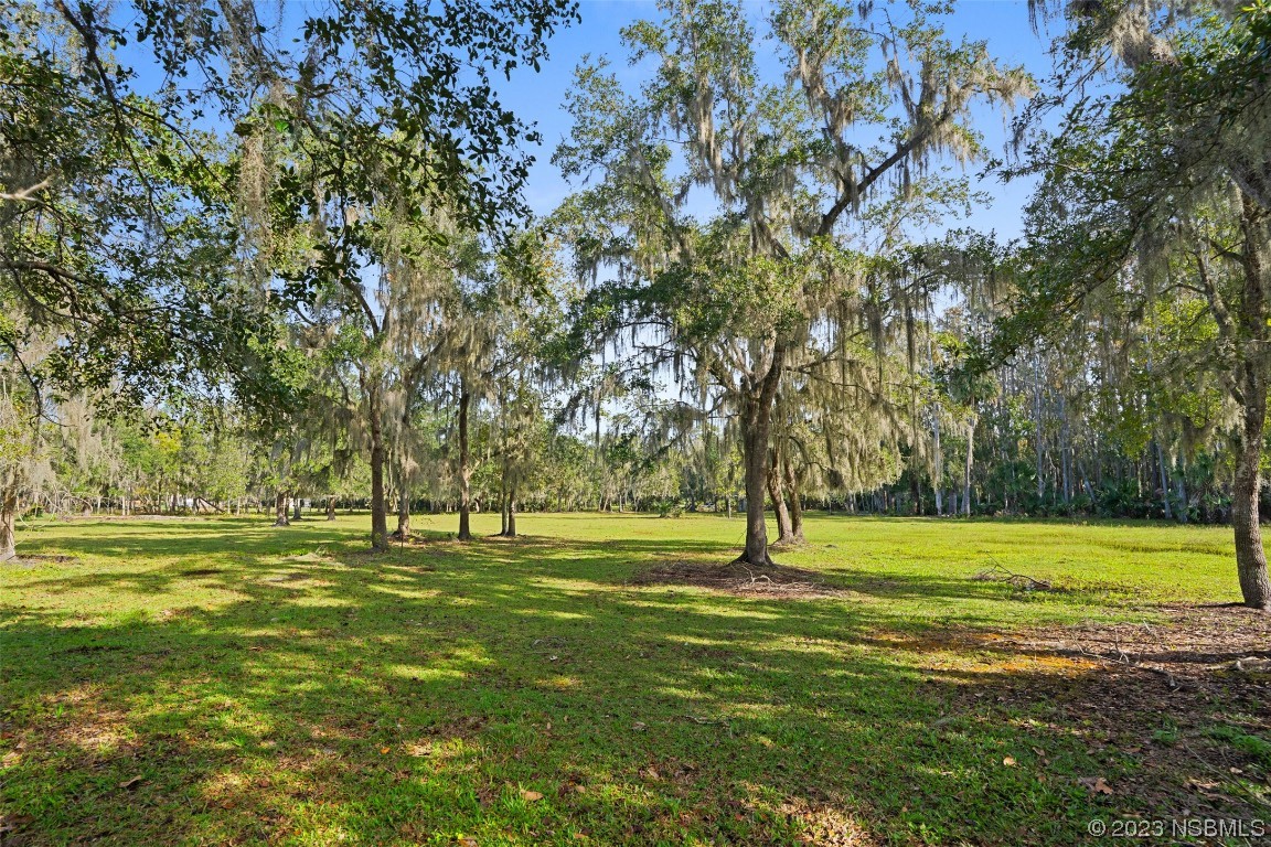 0 Bolton Road New Smyrna Beach, FL 32168 - Photo 12 of 18 a view of a tall trees with a big yard
