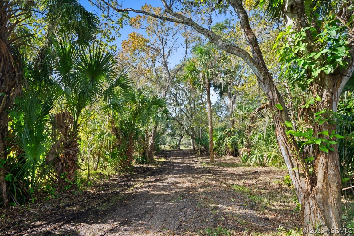 0 Bolton Road New Smyrna Beach, FL 32168 - Photo 2 of 18 a view of outdoor space with trees