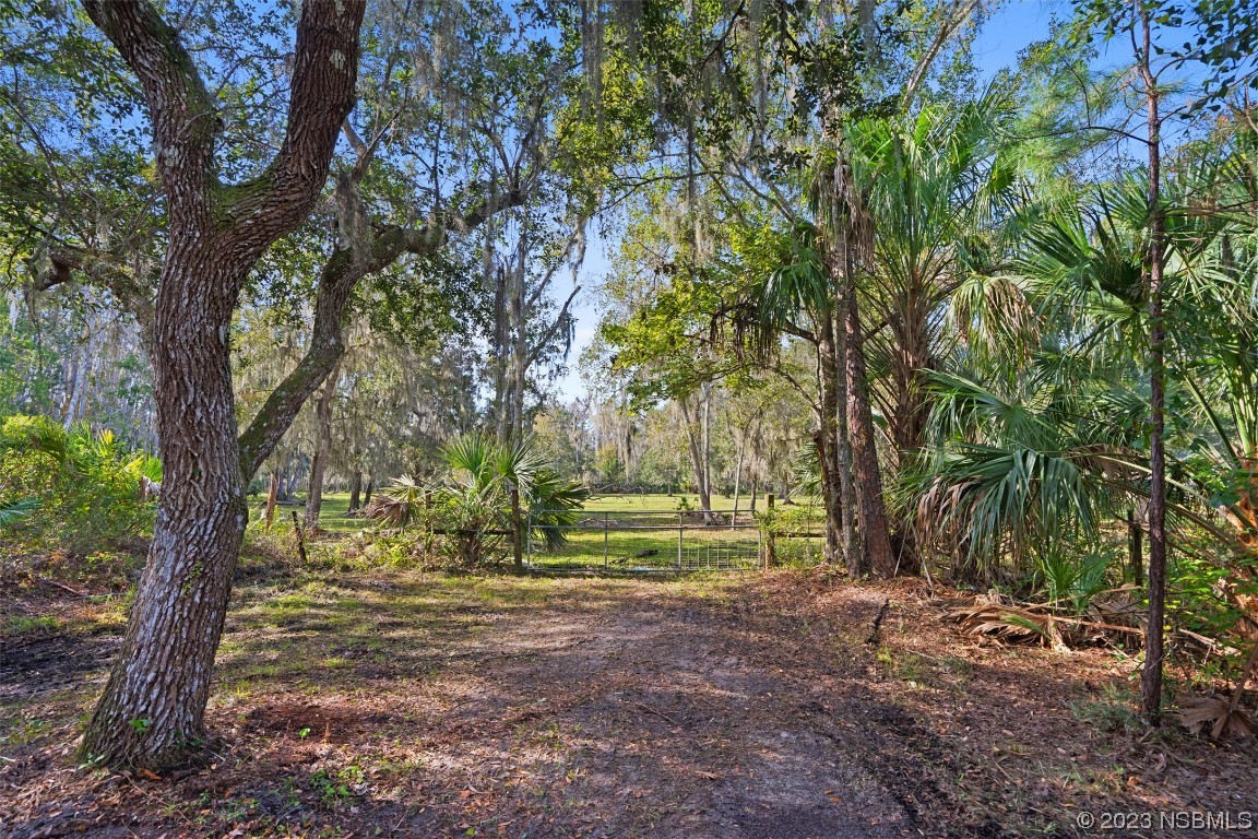 0 Bolton Road New Smyrna Beach, FL 32168 - Photo 3 of 18 a view of outdoor space with trees