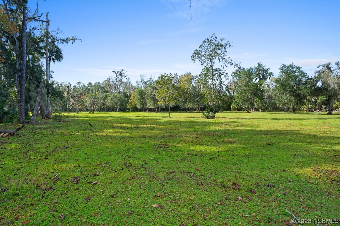 0 Bolton Road New Smyrna Beach, FL 32168 - Photo 5 of 18 a big yard with lots of green space and plants