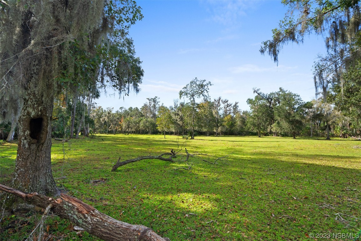 0 Bolton Road New Smyrna Beach, FL 32168 - Photo 6 of 18 a view of an ocean from a big yard