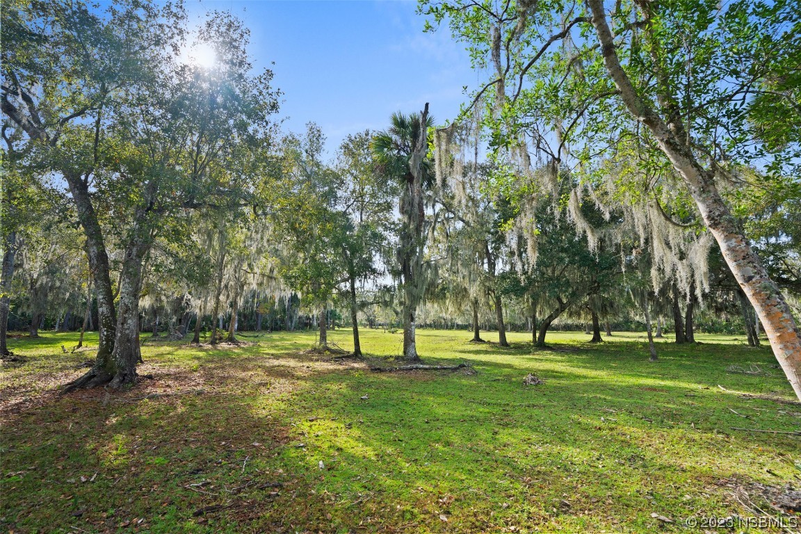 0 Bolton Road New Smyrna Beach, FL 32168 - Photo 7 of 18