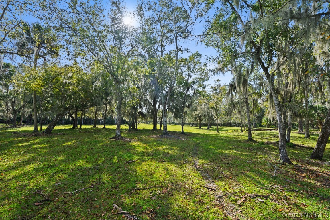 0 Bolton Road New Smyrna Beach, FL 32168 - Photo 8 of 18 a view of field with trees