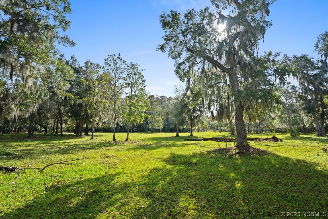 0 Bolton Road New Smyrna Beach, FL 32168 - Photo 9 of 18 a view of outdoor space with green field and trees all around