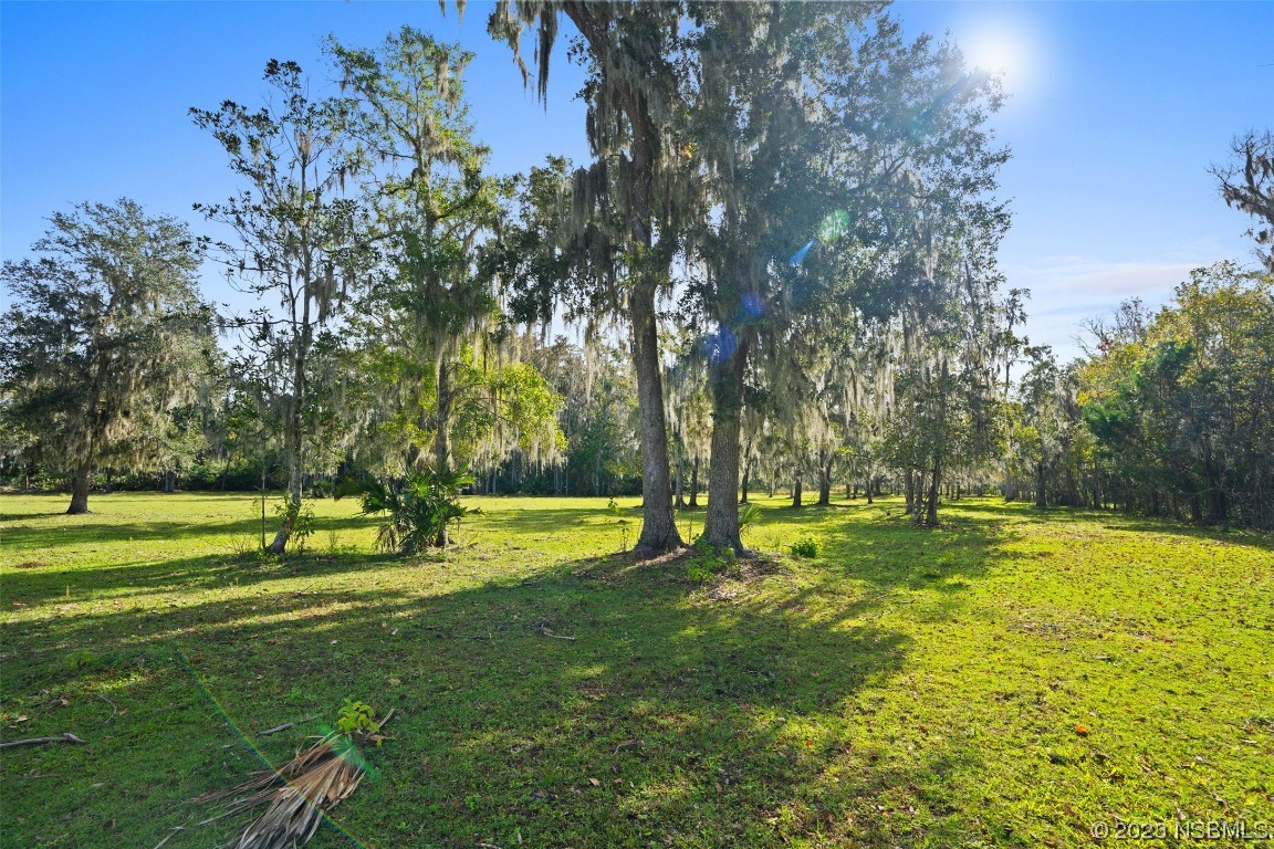0 Bolton Road New Smyrna Beach, FL 32168 - Photo 10 of 18 a view of a park with large trees