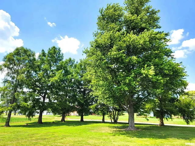 $349,900 | 232 Palm Lane, Louisville, IL 62858