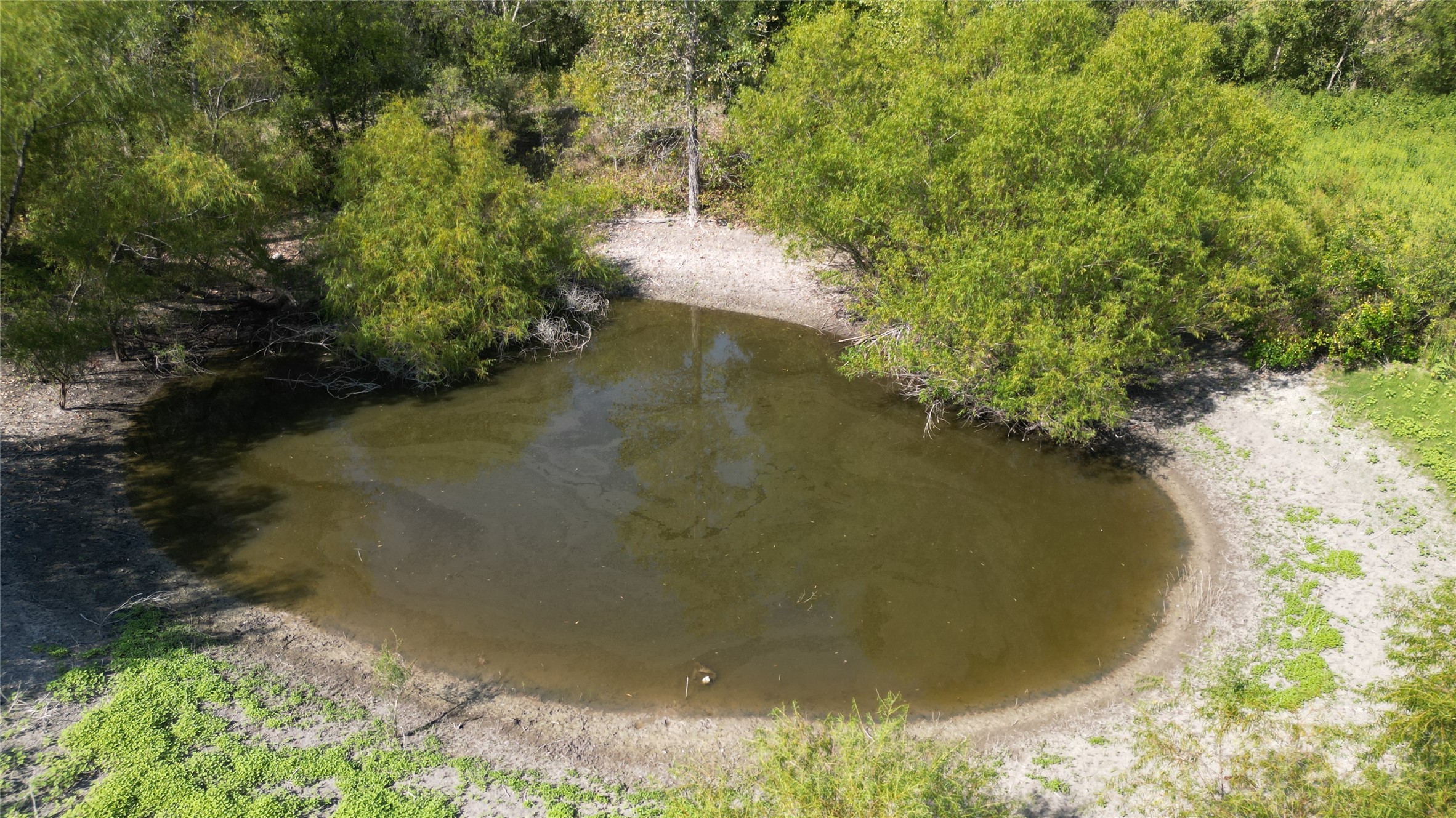 1012 East Fm 93 Road Temple, TX 76502 - Photo 35 of 40