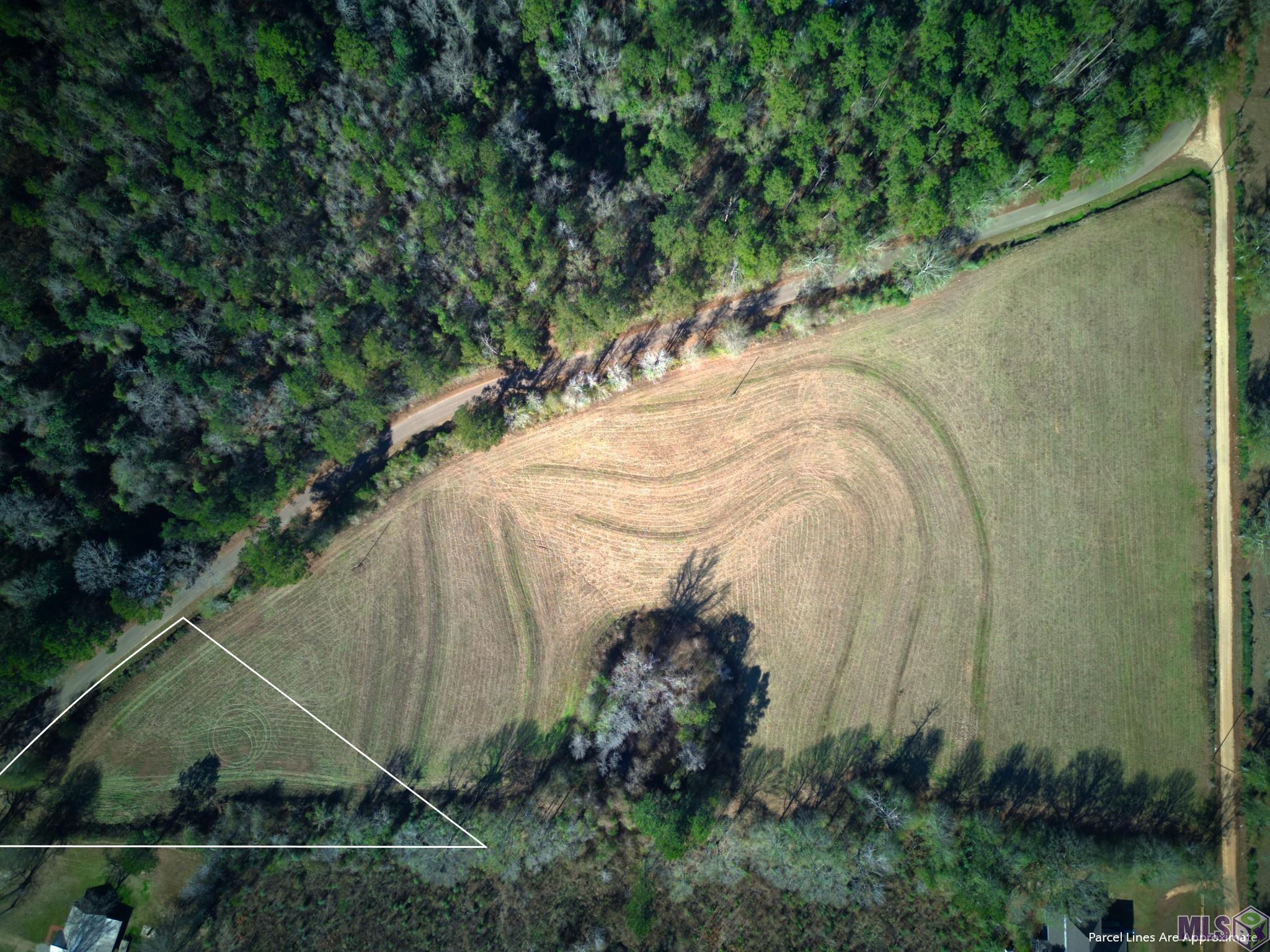 9 R F Ball Road Franklinton, LA 70438 - Photo 5 of 13