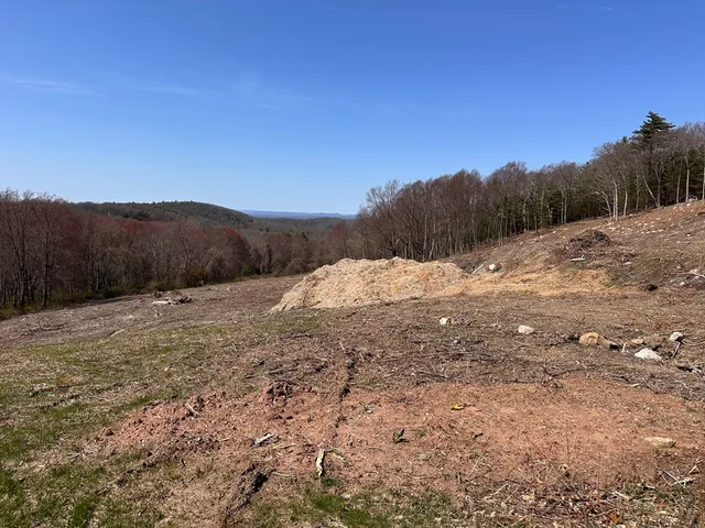 a view of a dry yard