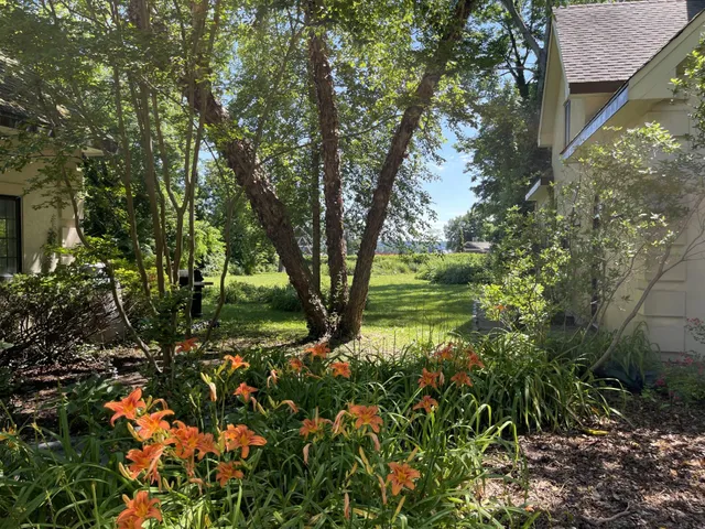 a backyard of a house with lots of green space