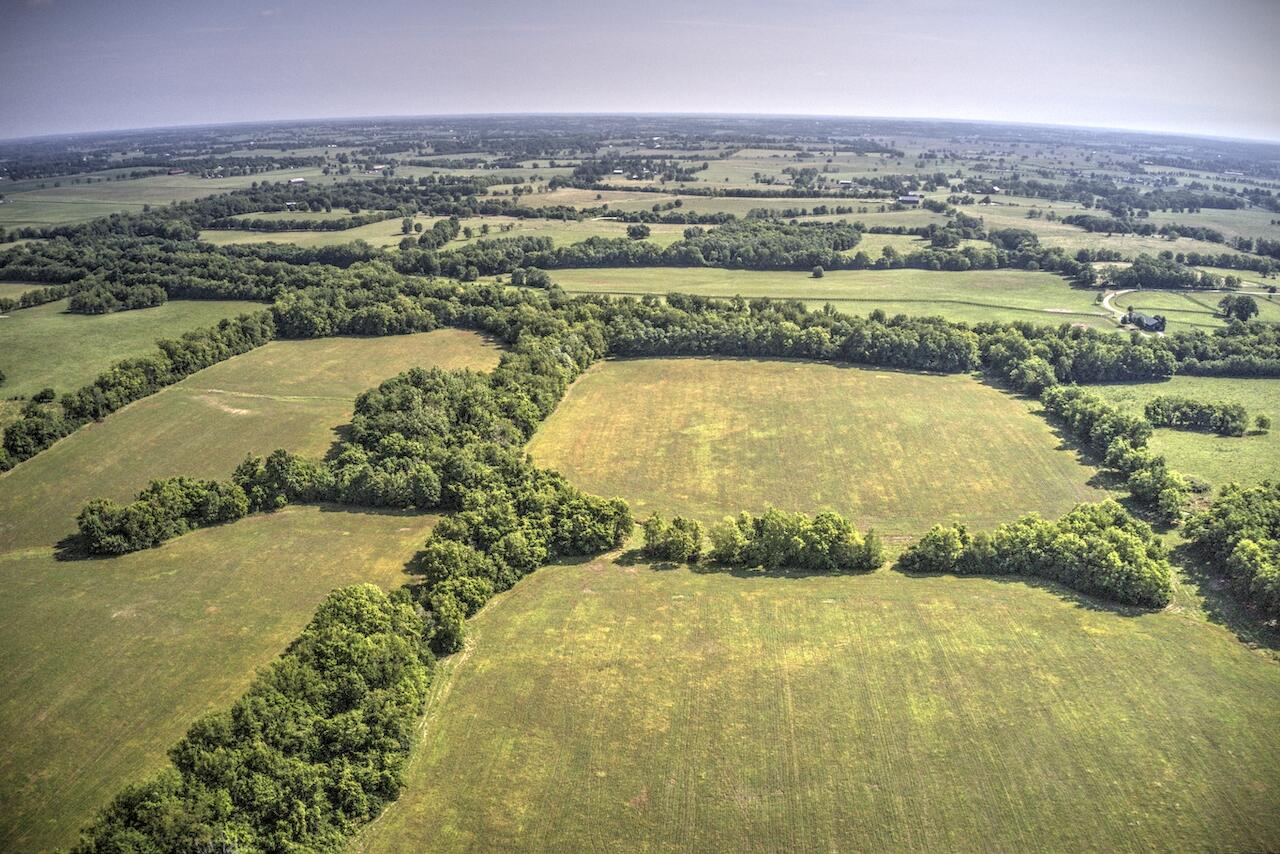 1757 Clintonville Road Paris, KY 40361 - Photo 42 of 54 DJI_0923_4_5_6_7