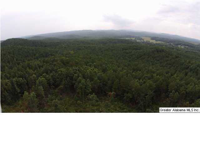 1900 Pepper Road, Unit 55 AC Ashland, AL 36251 - Photo 3 of 20