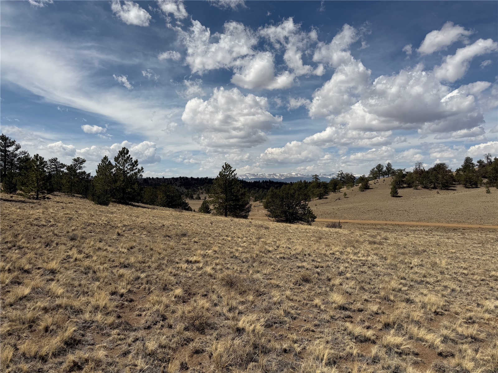 2839 Fitzsimmons Road Hartsel, CO 80449 - Photo 25 of 25 Gallery Image 25