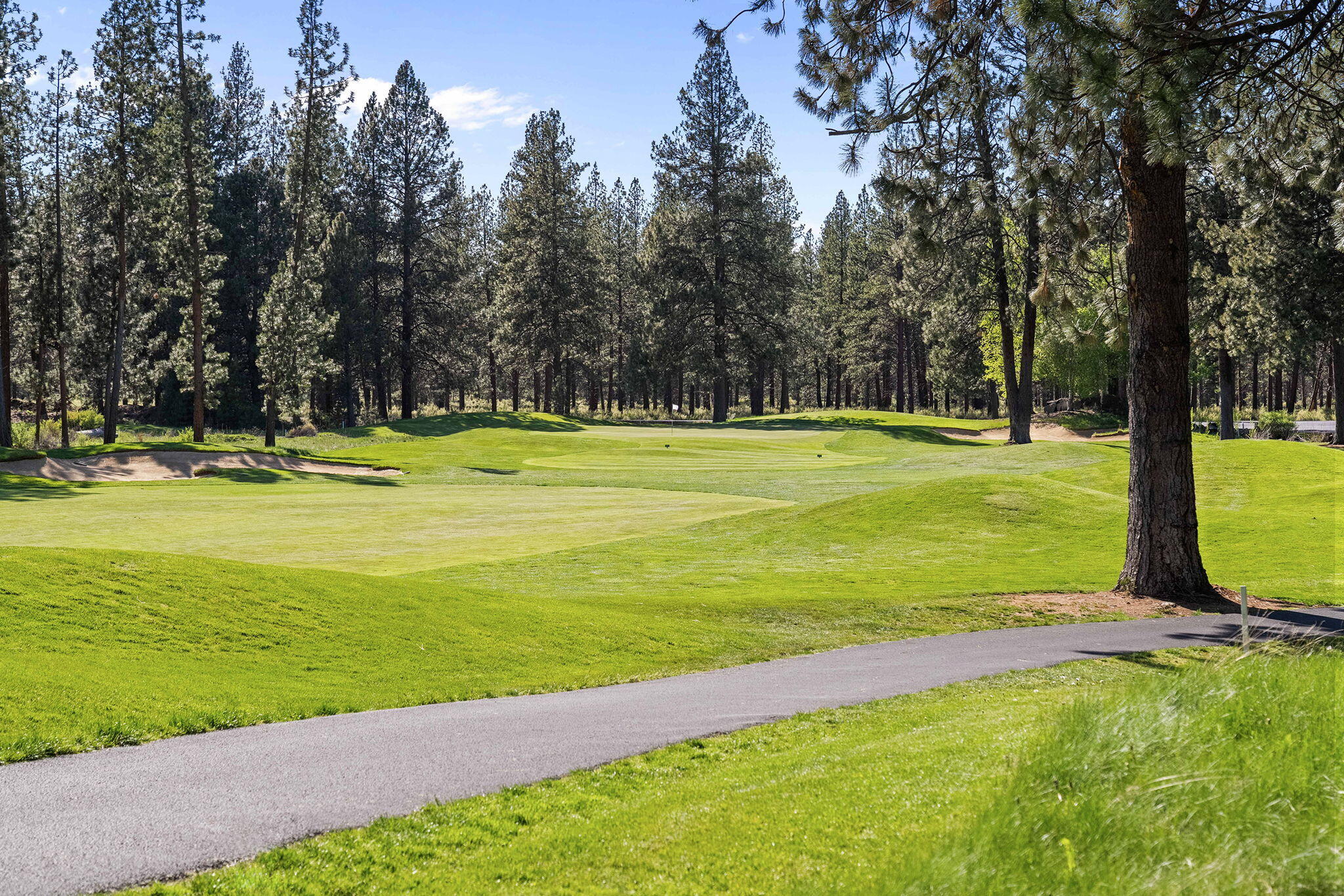 60766 Golf Village Loop Bend, OR 97702 - Photo 58 of 63 a view of a big yard with a trees