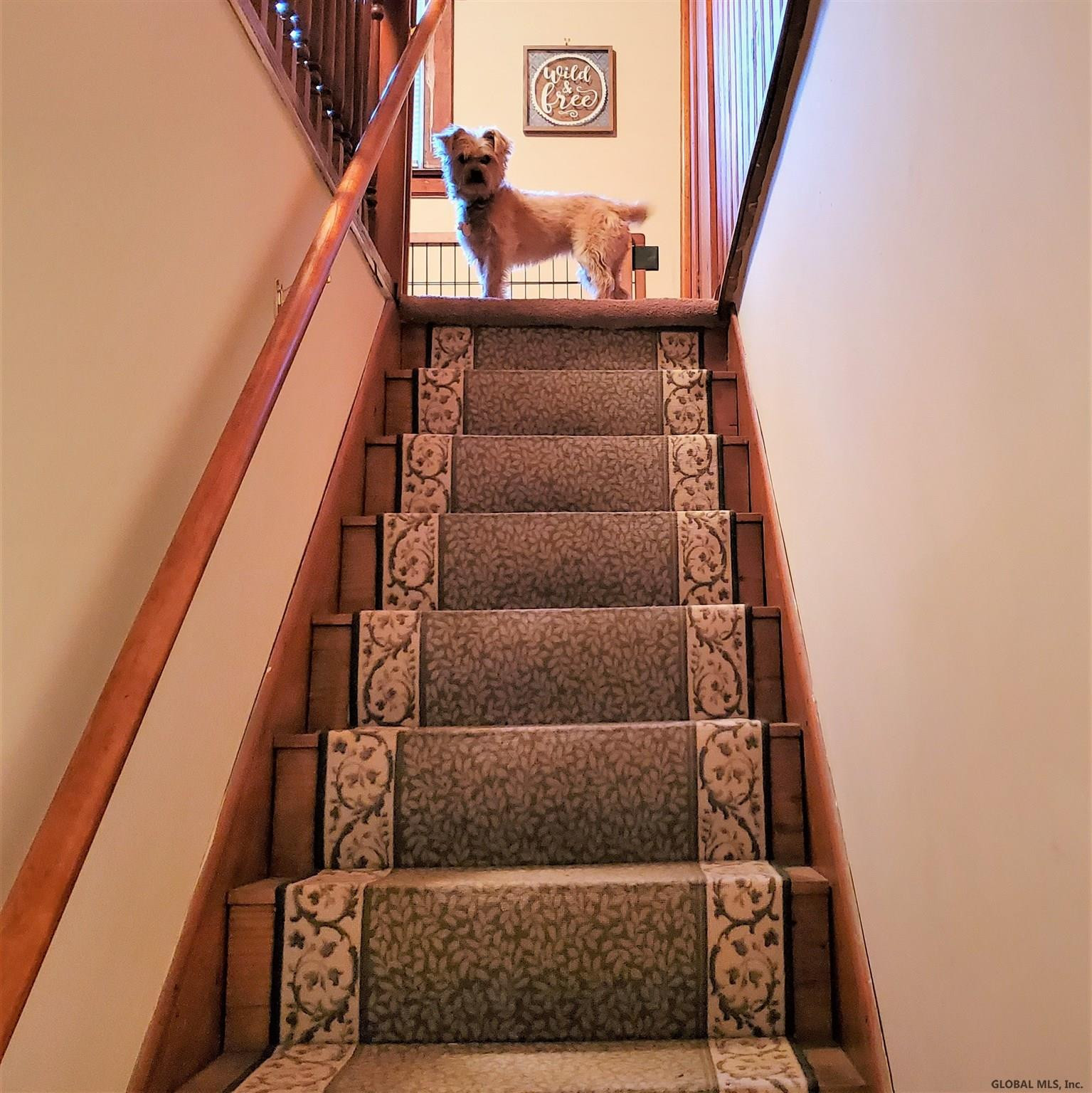 846 Curry Road Rotterdam, NY 12306 - Photo 34 of 34 Photo 34