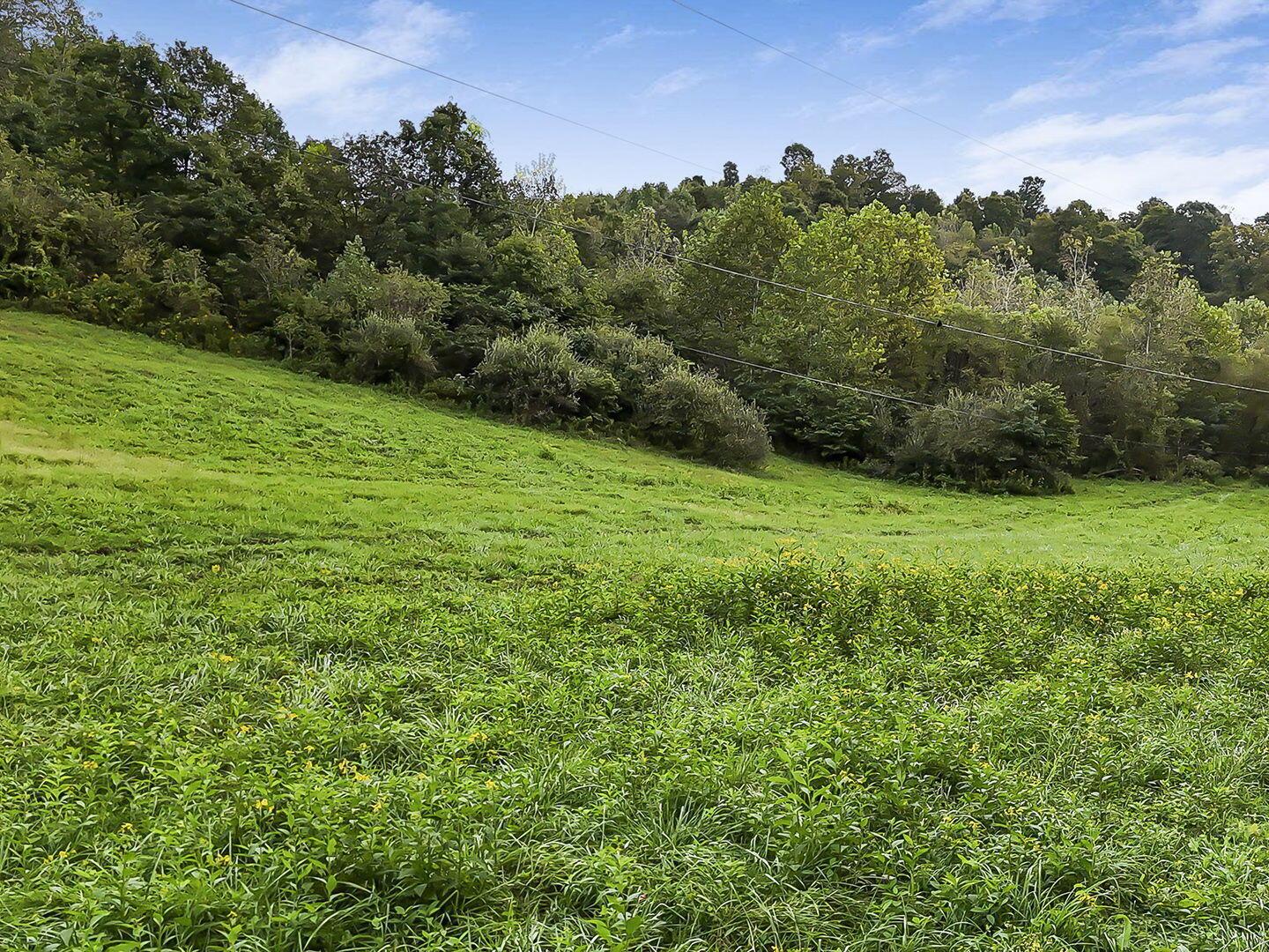 0 Cr E Road Pomeroy, OH 45769 - Photo 67 of 82 76-web-or-mls-DJI_20260918233755_0108_D