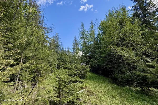 $89,000 | Nna Lot 4 Nna Road, Sagle, ID 83860