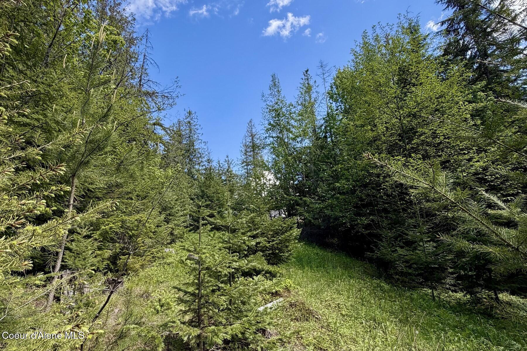 Nna Lot 4 Nna Road Sagle, ID 83860 - Photo 1 of 36 IMG_1445