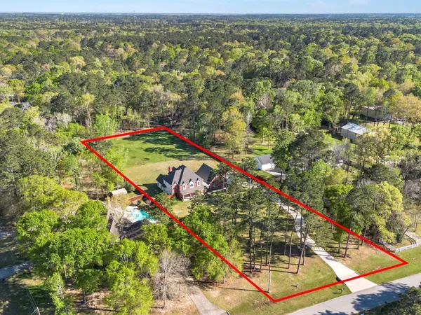 a view of a park with large trees