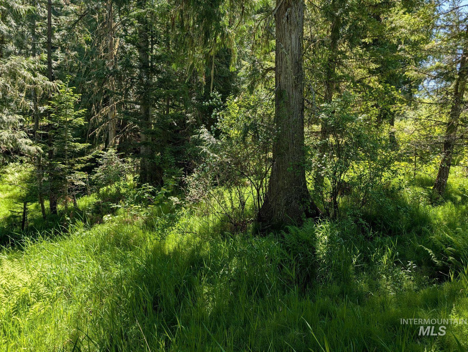 Parcel C Parcel C Corner Kamiah, ID 83536 - Photo 2 of 7