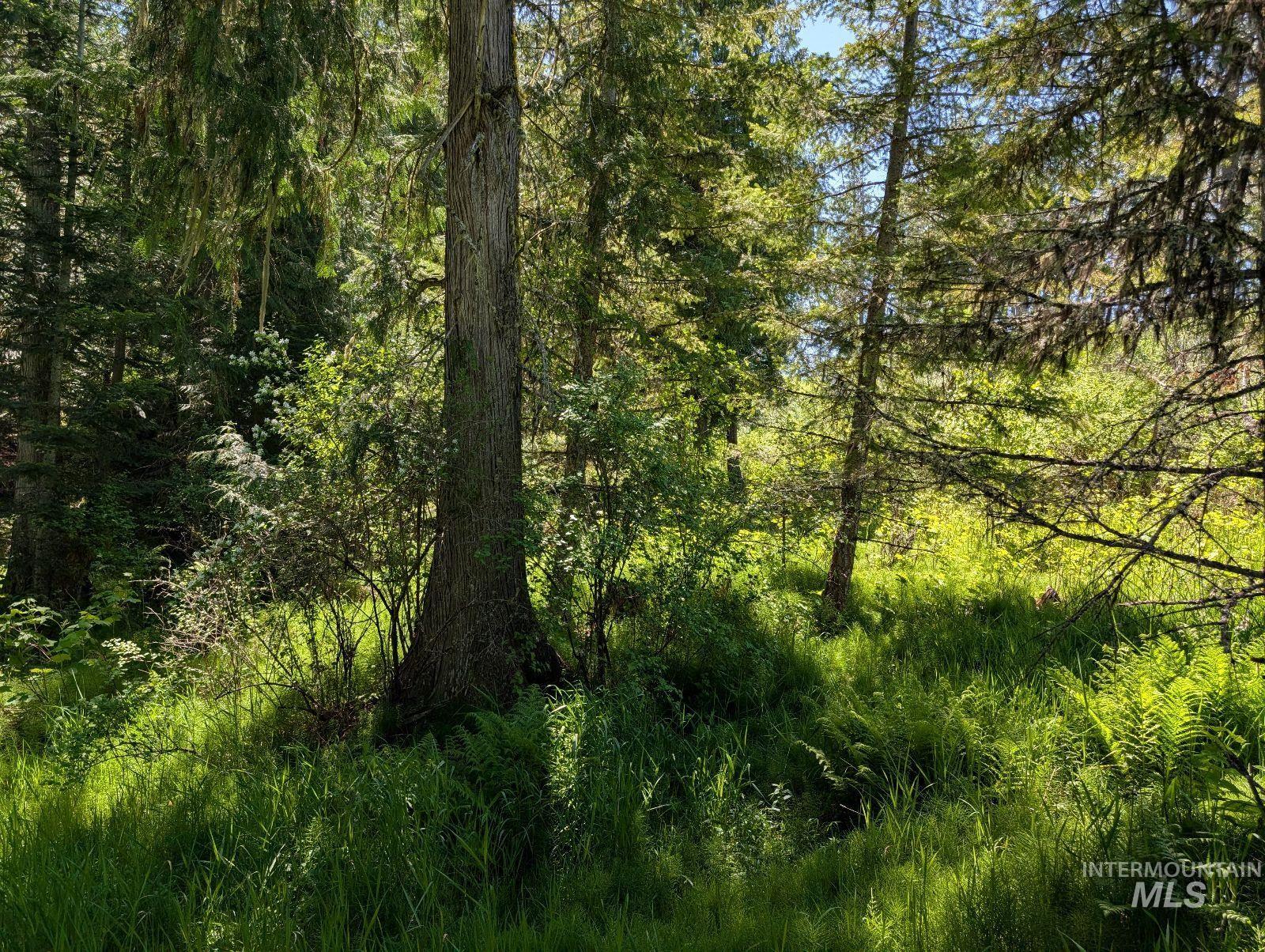 Parcel C Parcel C Corner Kamiah, ID 83536 - Photo 4 of 7