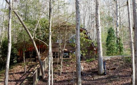 53 Tips Trail Blue Ridge, GA 30513 - Photo 1 of 1 a view of a forest