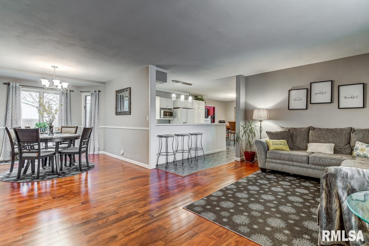 101 Cartwright Drive Springfield, IL 62704 - Photo 4 of 47 Gallery Image 4