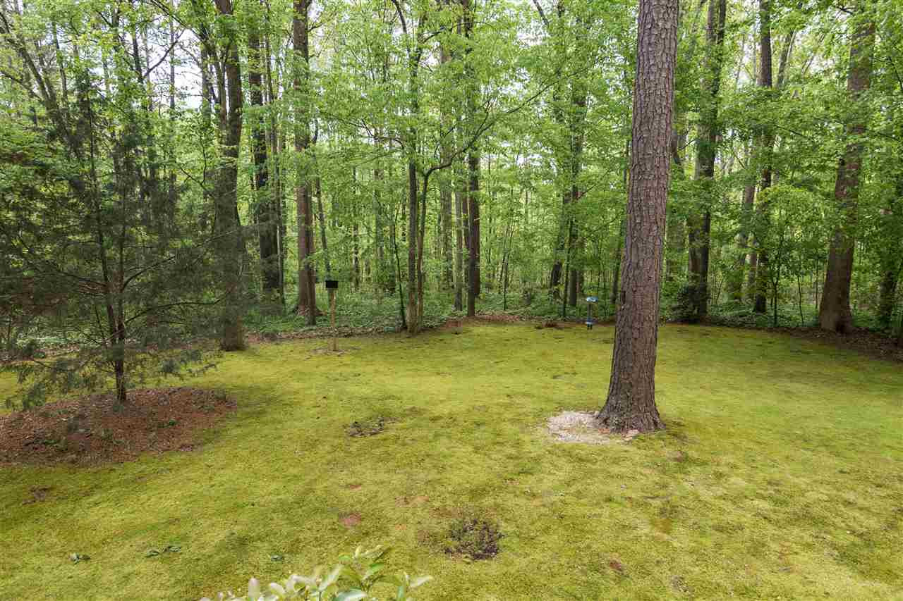 9609 Rock Creek Road Raleigh, NC 27613 - Photo 25 of 25 Back Yard