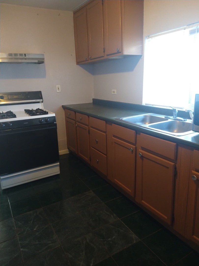 1917 Honore Avenue North Chicago, IL 60064 - Photo 18 of 27 a kitchen with a sink and cabinets