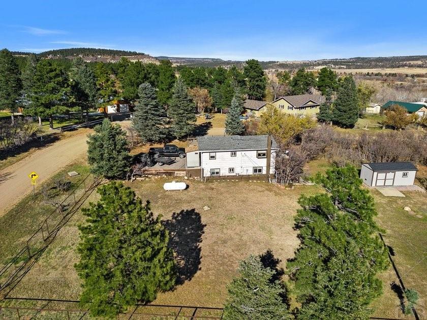 8148 Patti Drive Rye, CO 81069 - Photo 36 of 51 Gallery Image 36