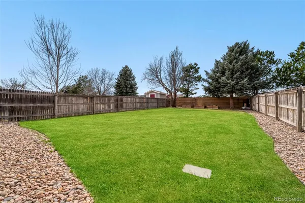 a view of yard with grass and trees