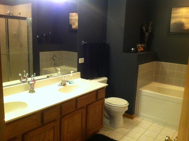 1944 West Cobblestone Road Romeoville, IL 60446 - Photo 10 of 18