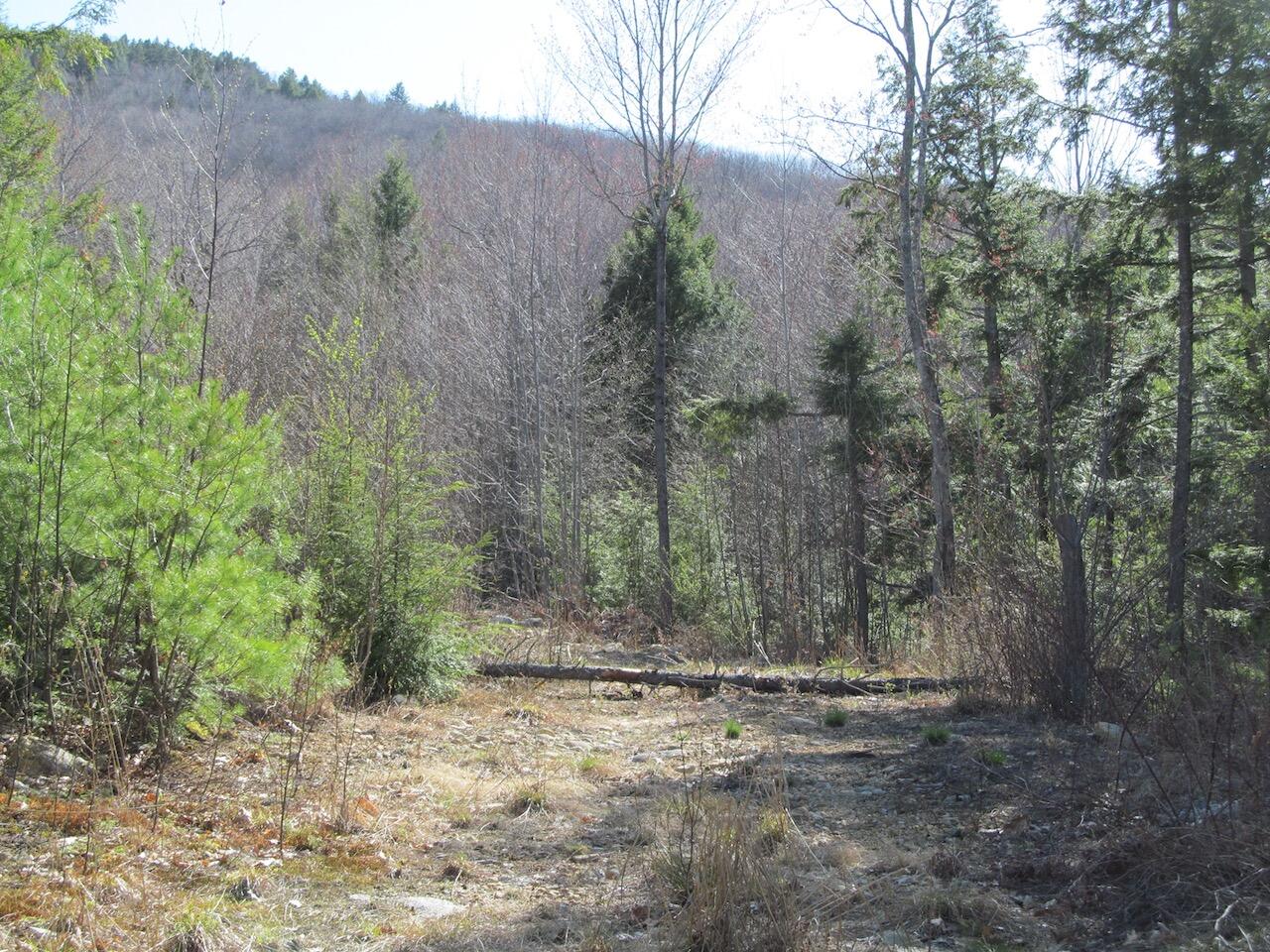 L6 Ranch Road Buckfield, ME 04220 - Photo 11 of 34 IMG_1152