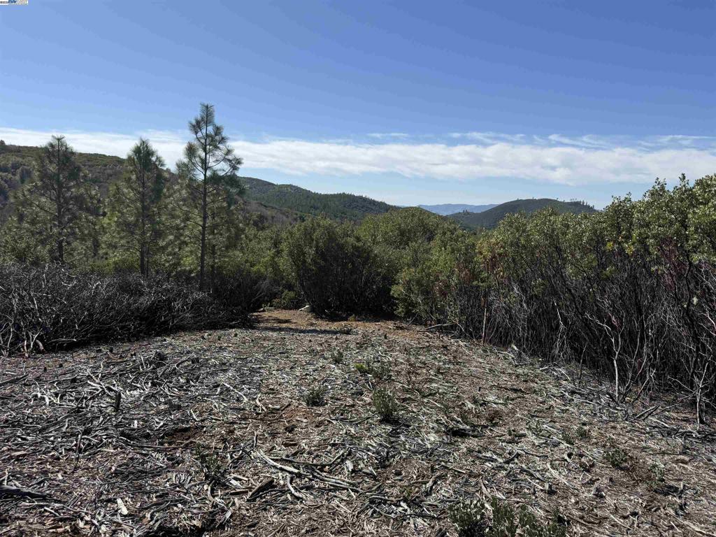 0000 Esmeralda Road San Andreas, CA 95249 - Photo 4 of 6