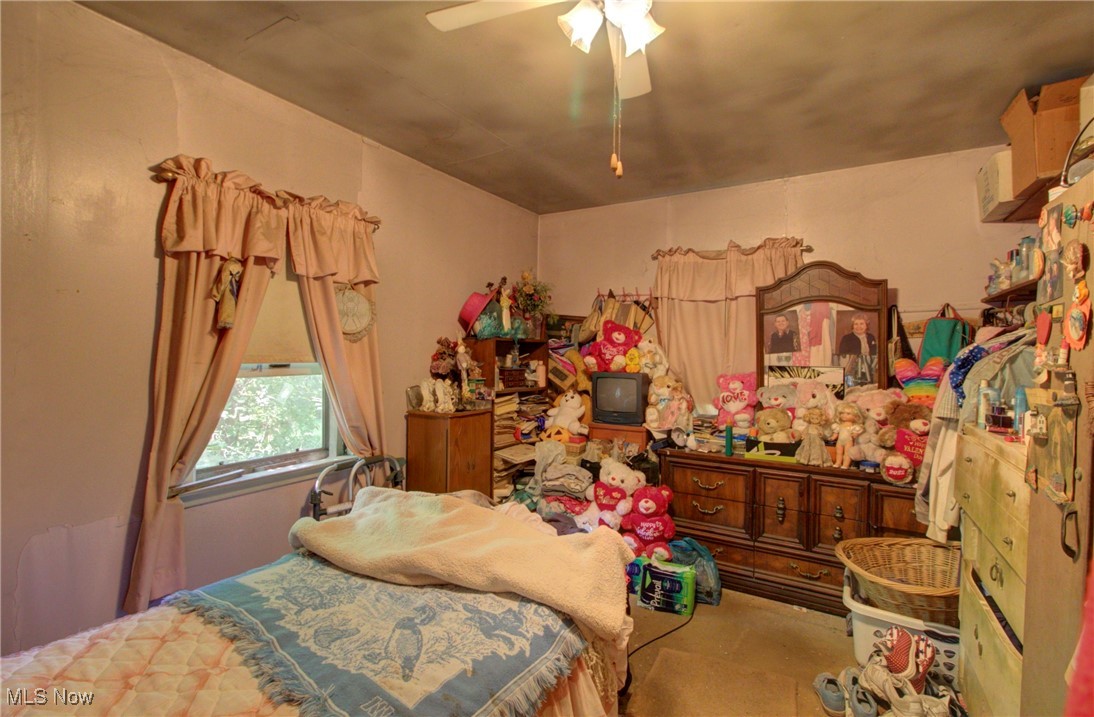 3227 Derussey Road Collins, OH 44826 - Photo 16 of 28 Bedroom with a ceiling fan