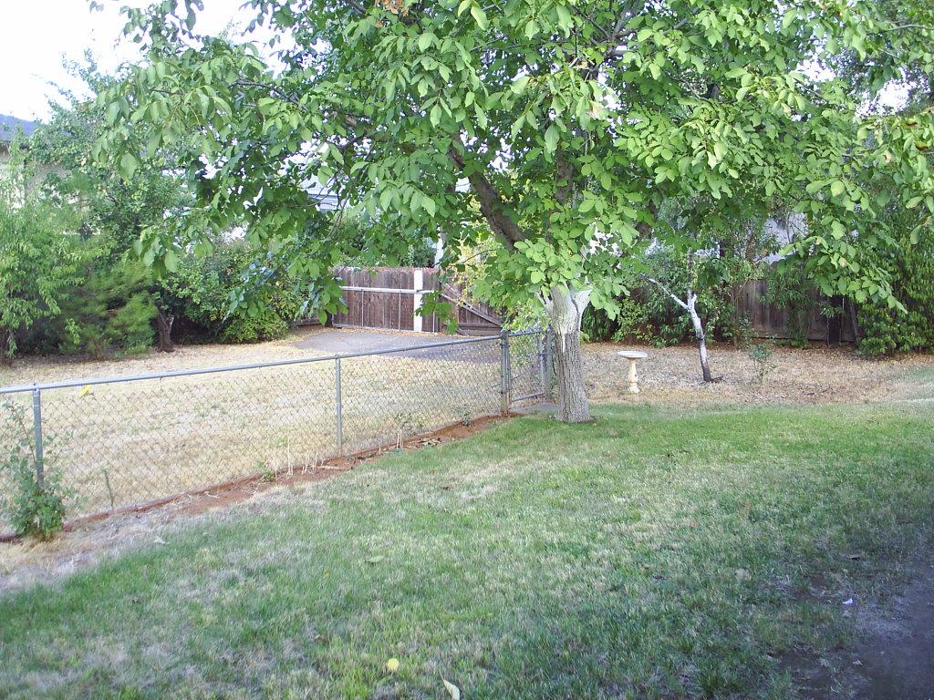 1048 Echo Road Redding, CA 96002 - Photo 2 of 7 Backyard 1