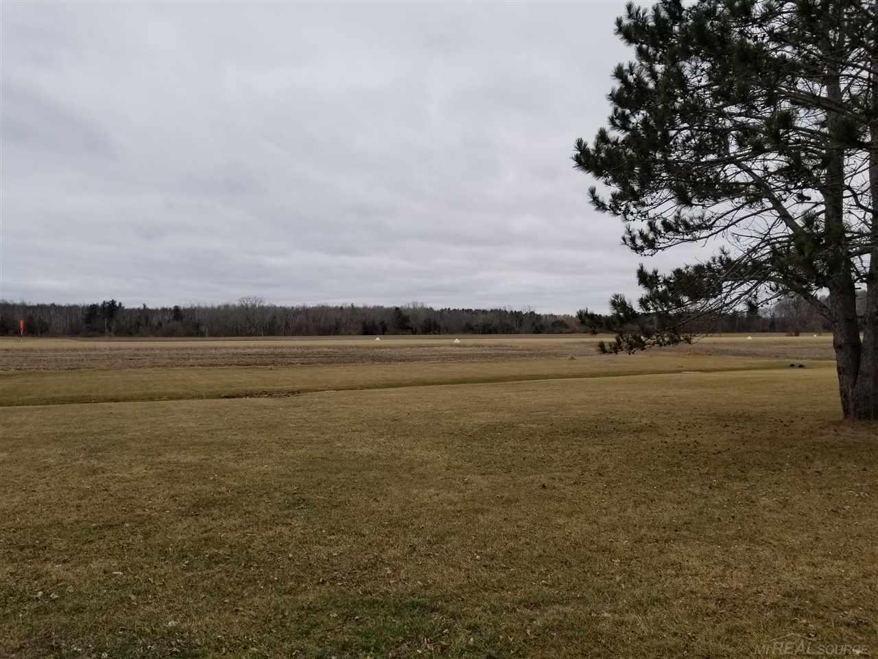 7100 Townsend Road Lexington, MI 48450 - Photo 27 of 29 view to airstrip