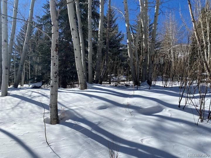 2469 Chamonix Lane, Unit E4 Vail, CO 81657 - Photo 18 of 24 a view of street with with trees