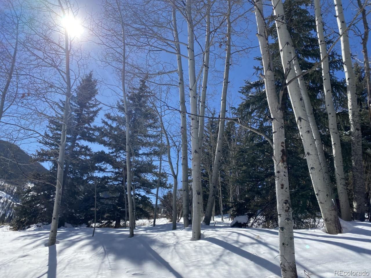 2469 Chamonix Lane, Unit E4 Vail, CO 81657 - Photo 2 of 24 a view of a building with trees