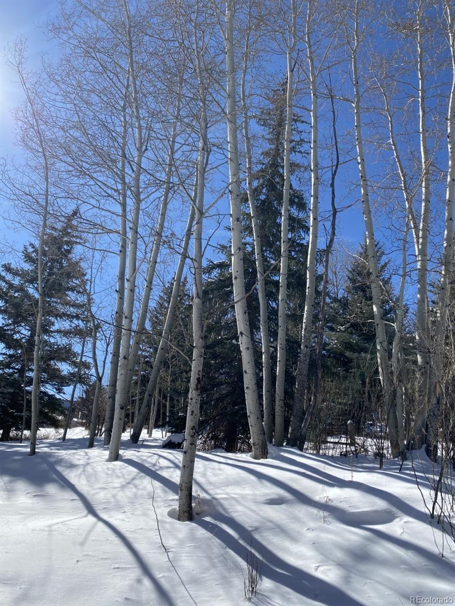 2469 Chamonix Lane, Unit E4 Vail, CO 81657 - Photo 23 of 24