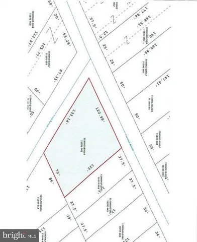 $725,000 | 7301 Chestnut Avenue, Elkins Park, PA 19027