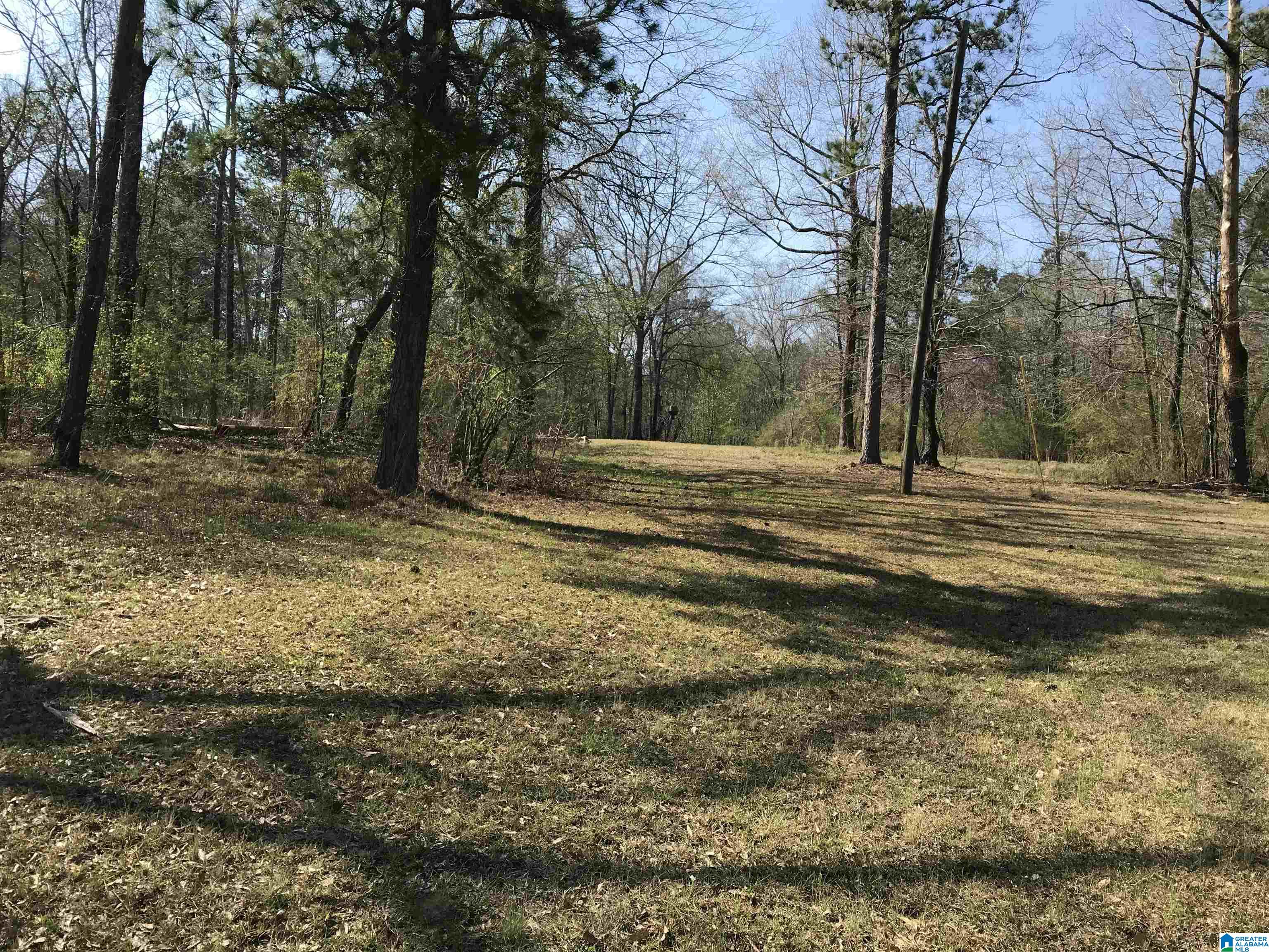 3 Chancellors Ferry Road, Unit 1 Harpersville, AL 35078 - Photo 8 of 14