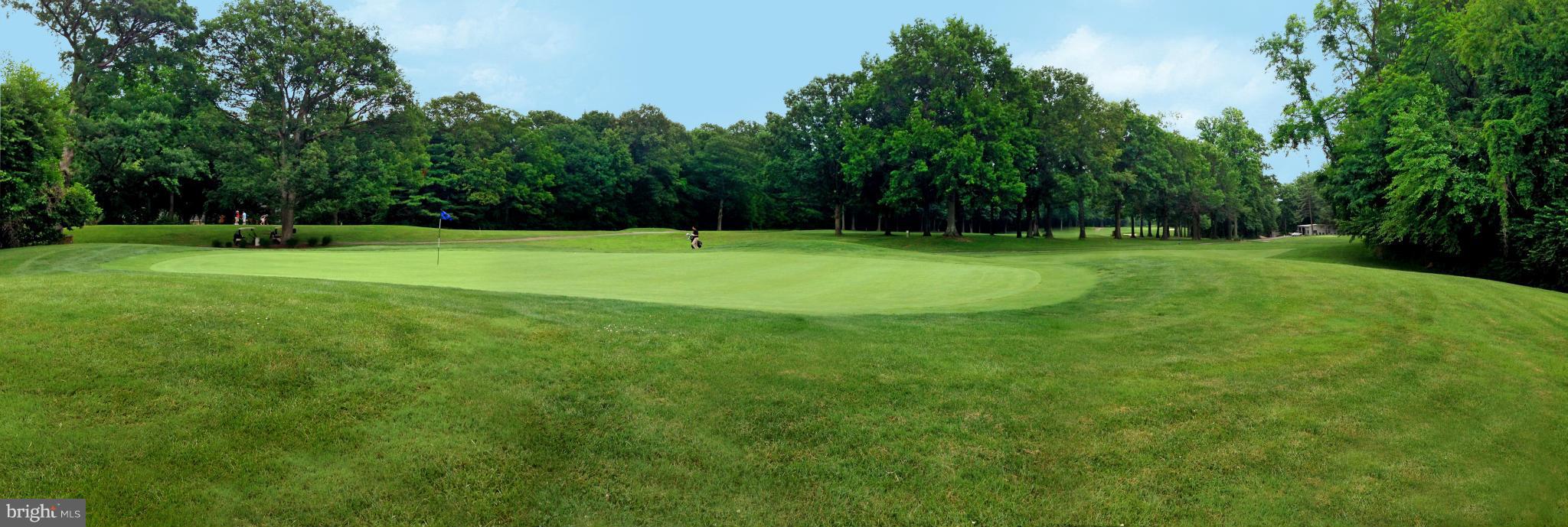 2013 Sarazen Place Reston, VA 20191 - Photo 3 of 27 3rd Green of Golf Course