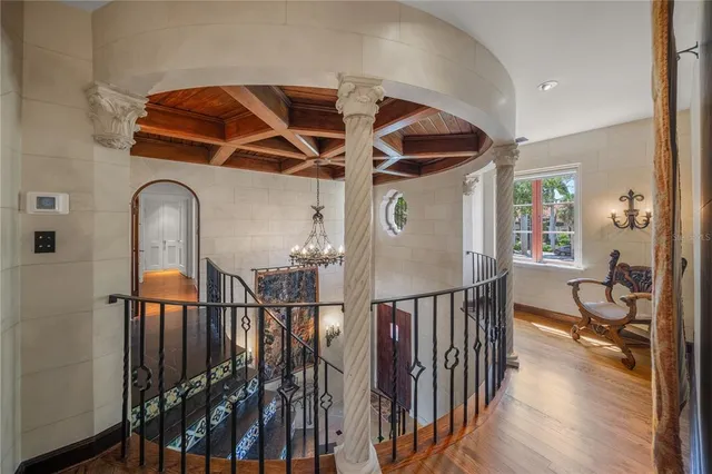 a view of a garden with plants